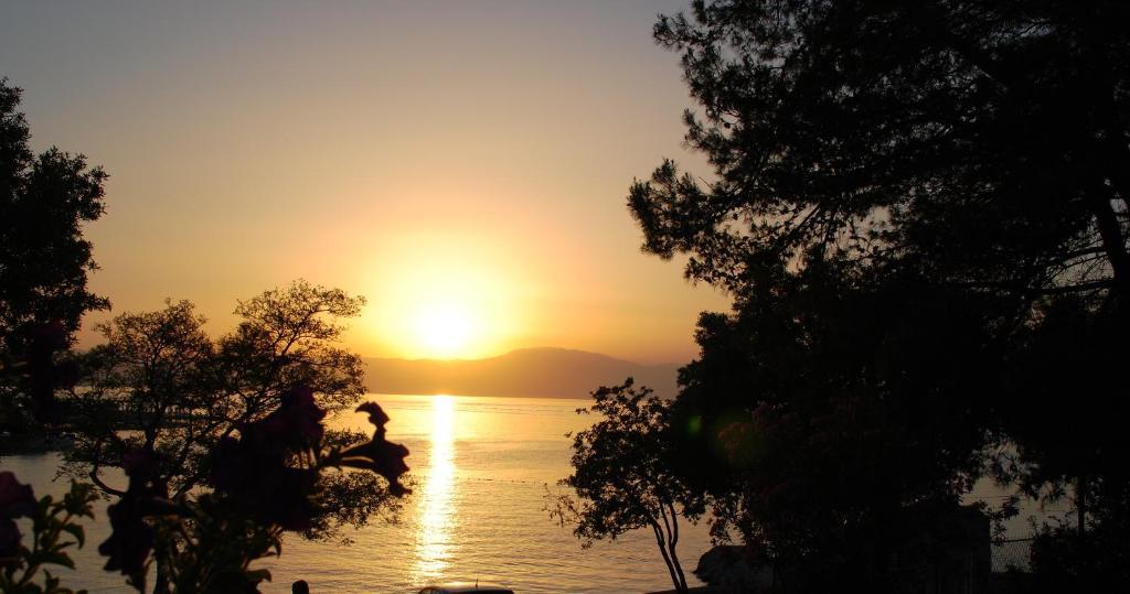 & Milcetic M Guest house 4*