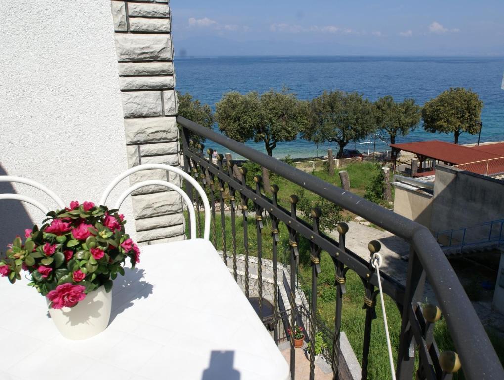 & Milcetic M Guest house